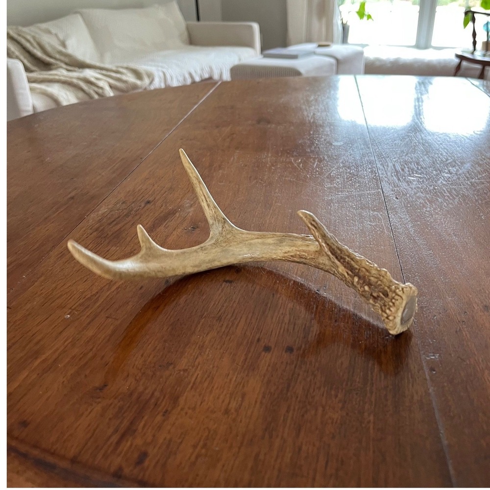 Natural Deer Antler